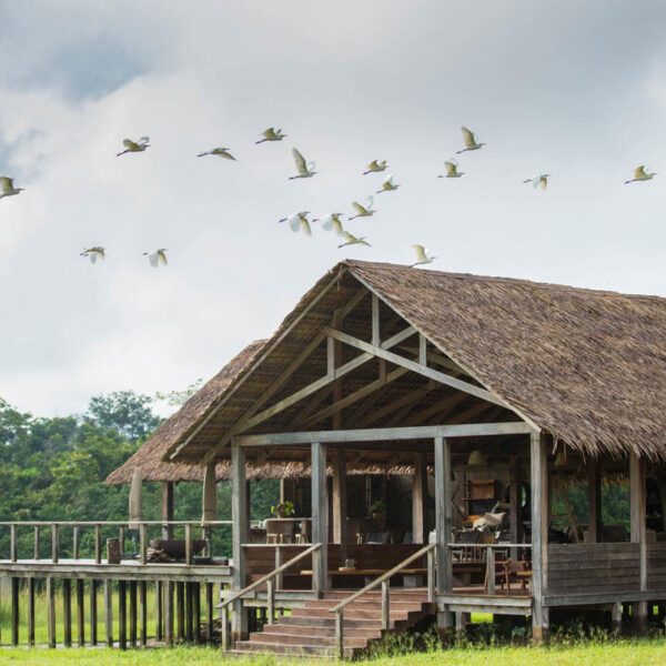Lake Mburo Camp