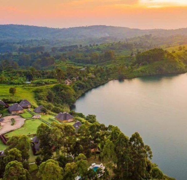 Kibale Forest Camp